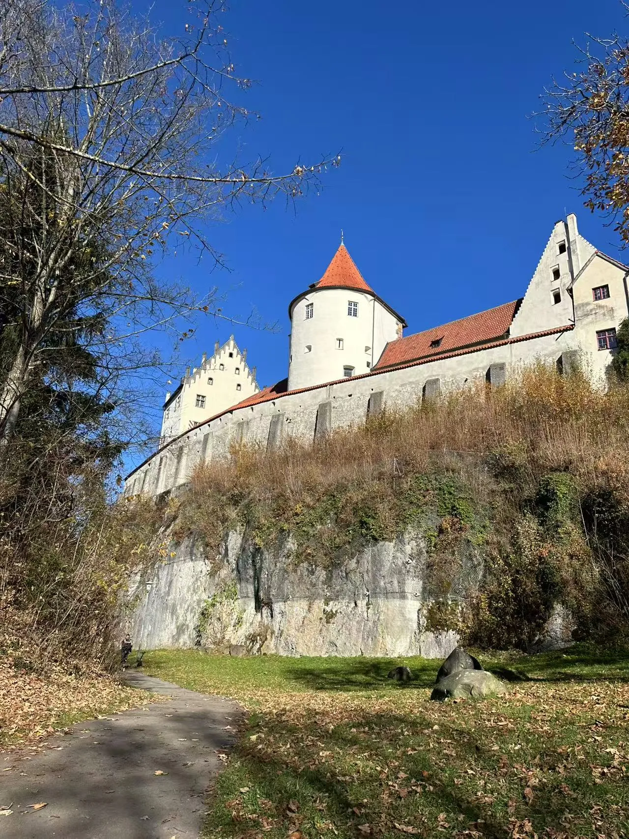 image-20251108164649675