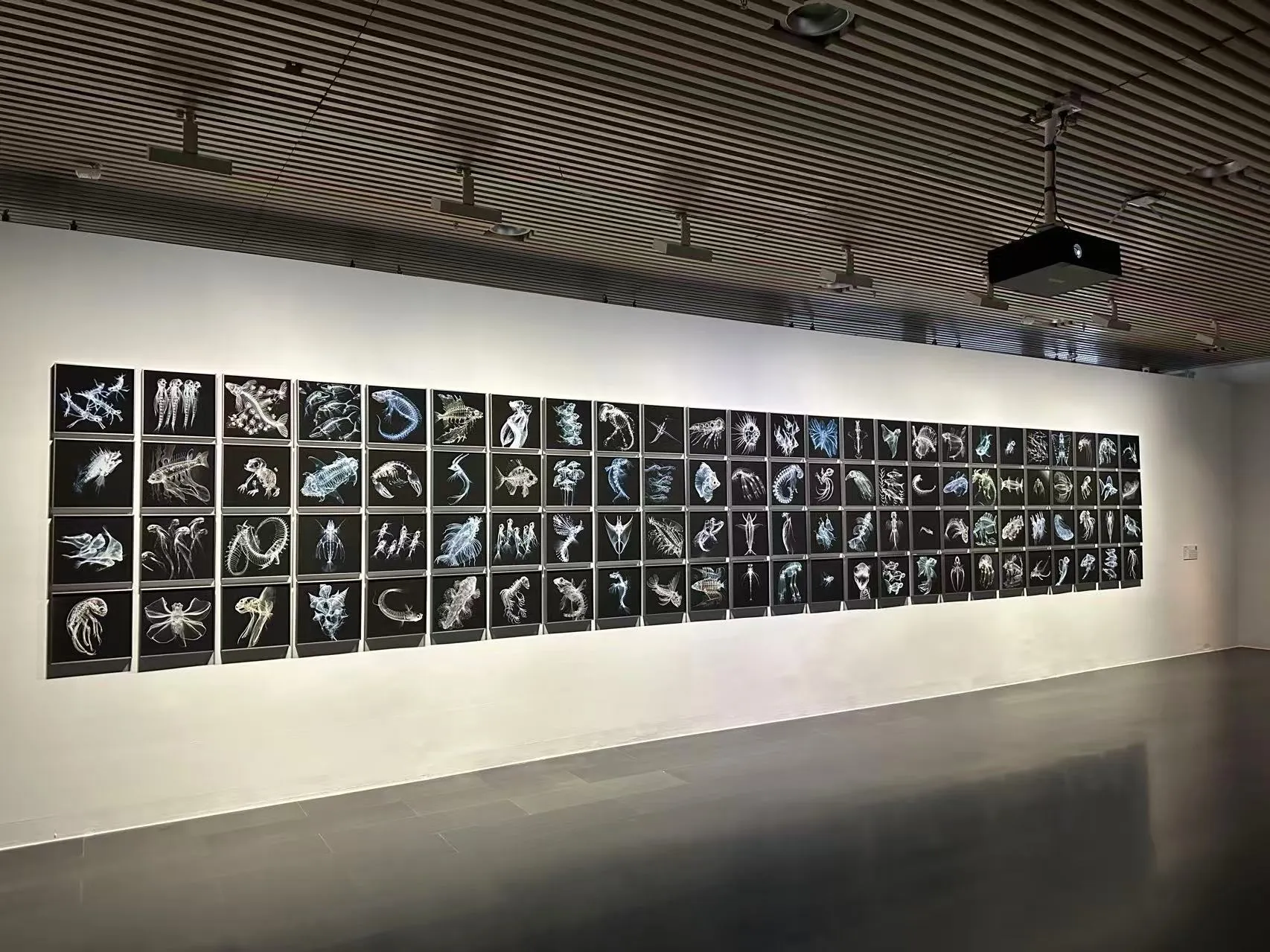 image-20251230121236634